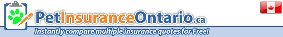 Welcome to Pet Insurance Ontario - Compate Pet Insurance in ontario